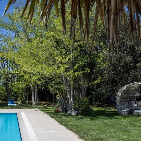 Hermitage גלאטינה